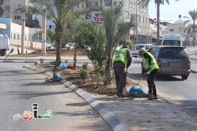 فيديو - كفر قاسم :  بعد النشر في قسماوي نت  البدء بالمراحل الاولى من البستنة والتشجير في جزر مدخل المدينة 